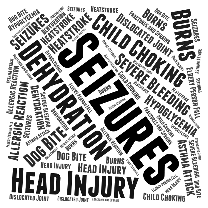 A word cloud image listing various medical emergencies.